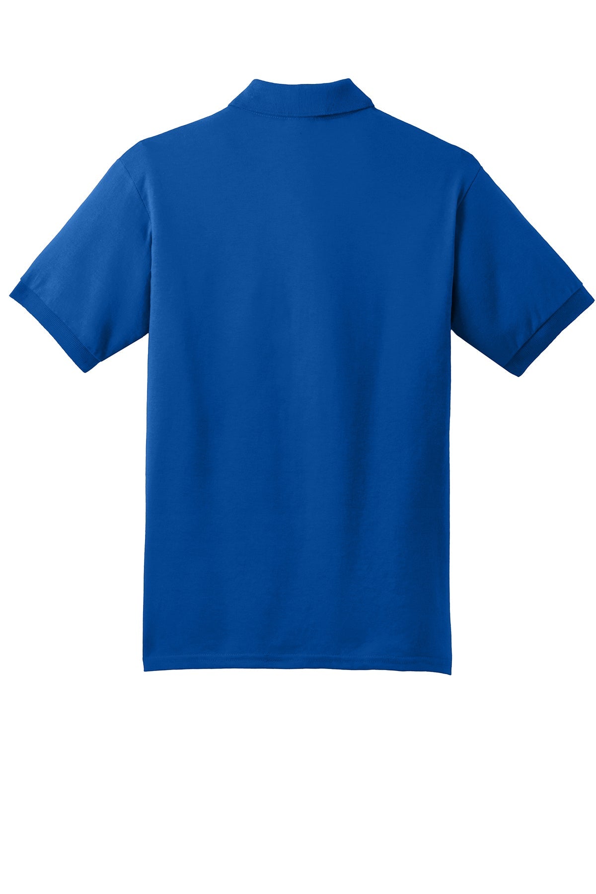 Light Blue Back